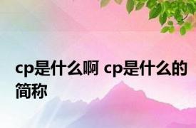 cp是什么啊 cp是什么的简称