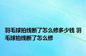 羽毛球拍线断了怎么修多少钱 羽毛球拍线断了怎么修