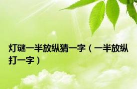 灯谜一半放纵猜一字（一半放纵打一字）