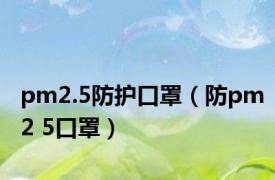 pm2.5防护口罩（防pm2 5口罩）