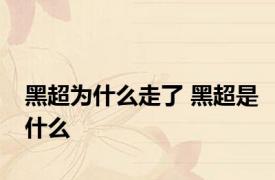 黑超为什么走了 黑超是什么