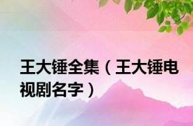 王大锤全集（王大锤电视剧名字）