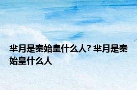 芈月是秦始皇什么人? 芈月是秦始皇什么人