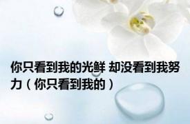 你只看到我的光鲜 却没看到我努力（你只看到我的）