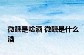 微醺是啥酒 微醺是什么酒