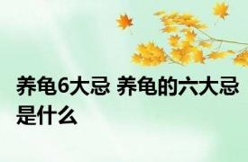 养龟6大忌 养龟的六大忌是什么