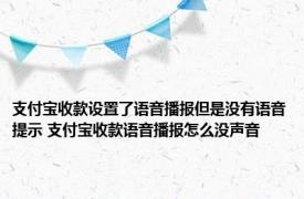支付宝收款设置了语音播报但是没有语音提示 支付宝收款语音播报怎么没声音