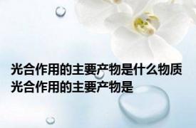 光合作用的主要产物是什么物质 光合作用的主要产物是