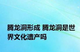 腾龙洞形成 腾龙洞是世界文化遗产吗