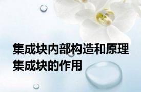 集成块内部构造和原理 集成块的作用