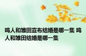 鸣人和雏田宣布结婚是哪一集 鸣人和雏田结婚是哪一集