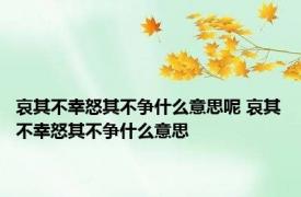 哀其不幸怒其不争什么意思呢 哀其不幸怒其不争什么意思