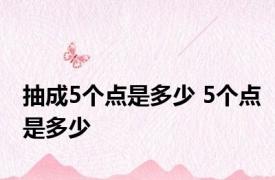 抽成5个点是多少 5个点是多少