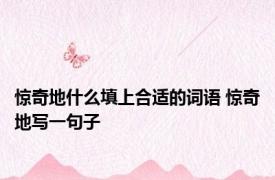 惊奇地什么填上合适的词语 惊奇地写一句子