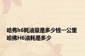 哈弗h6耗油量是多少钱一公里 哈佛H6油耗是多少