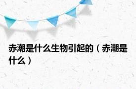 赤潮是什么生物引起的（赤潮是什么）