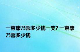 一束康乃馨多少钱一支? 一束康乃馨多少钱 