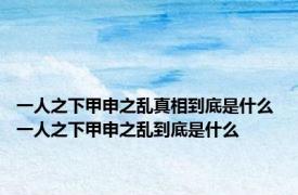 一人之下甲申之乱真相到底是什么 一人之下甲申之乱到底是什么