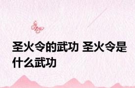 圣火令的武功 圣火令是什么武功