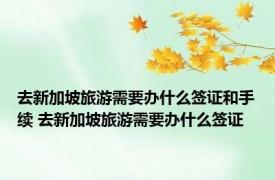 去新加坡旅游需要办什么签证和手续 去新加坡旅游需要办什么签证