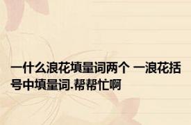 一什么浪花填量词两个 一浪花括号中填量词.帮帮忙啊
