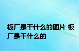 板厂是干什么的图片 板厂是干什么的