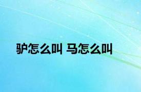 驴怎么叫 马怎么叫