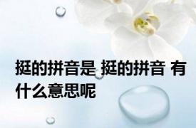 挺的拼音是 挺的拼音 有什么意思呢