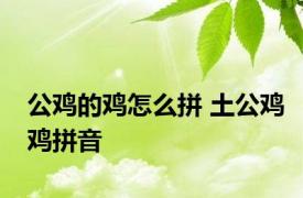 公鸡的鸡怎么拼 土公鸡鸡拼音