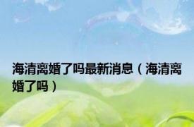 海清离婚了吗最新消息（海清离婚了吗）