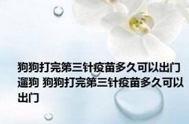 狗狗打完第三针疫苗多久可以出门遛狗 狗狗打完第三针疫苗多久可以出门