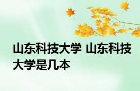 山东科技大学 山东科技大学是几本
