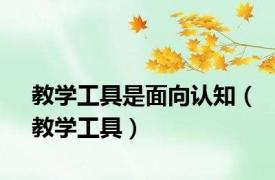 教学工具是面向认知（教学工具）