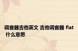 调音器吉他英文 吉他调音器 flat 什么意思