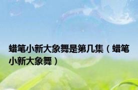 蜡笔小新大象舞是第几集（蜡笔小新大象舞）