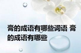 膏的成语有哪些词语 膏的成语有哪些