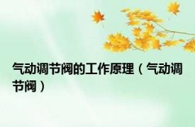 气动调节阀的工作原理（气动调节阀）