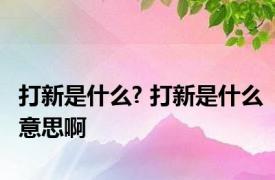 打新是什么? 打新是什么意思啊