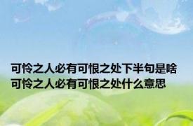 可怜之人必有可恨之处下半句是啥 可怜之人必有可恨之处什么意思