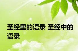 圣经里的语录 圣经中的语录