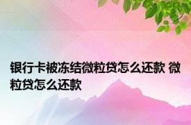 银行卡被冻结微粒贷怎么还款 微粒贷怎么还款