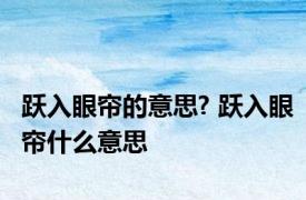 跃入眼帘的意思? 跃入眼帘什么意思