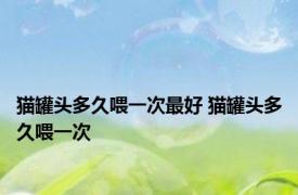 猫罐头多久喂一次最好 猫罐头多久喂一次