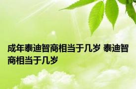 成年泰迪智商相当于几岁 泰迪智商相当于几岁