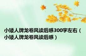 小矮人牌龙卷风读后感300字左右（小矮人牌龙卷风读后感）