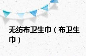 无纺布卫生巾（布卫生巾）