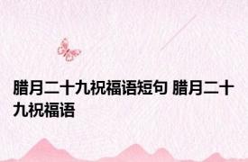 腊月二十九祝福语短句 腊月二十九祝福语