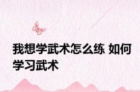 我想学武术怎么练 如何学习武术 