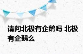 请问北极有企鹅吗 北极有企鹅么