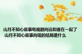 山月不知心底事电视剧向远和谁在一起了 山月不知心底事向瑶的结局是什么